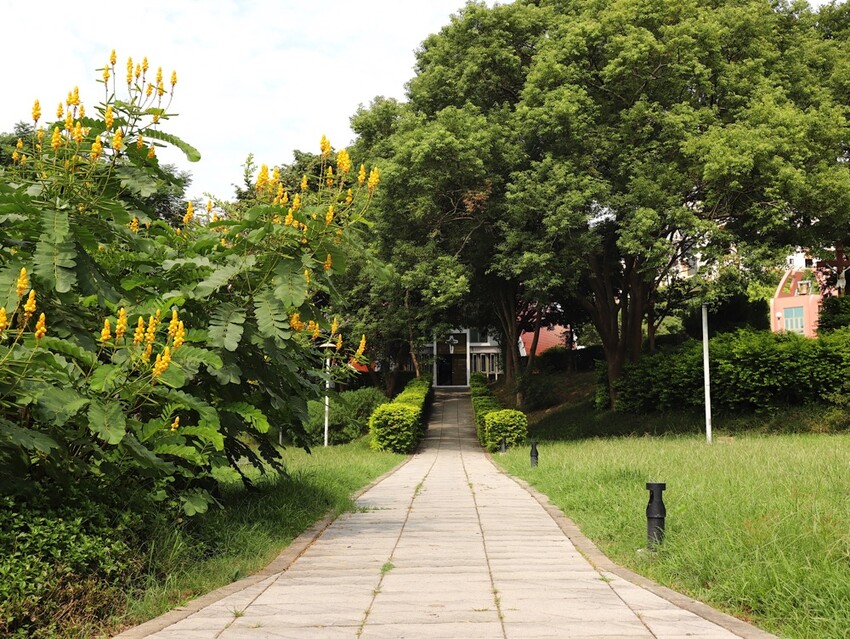 台中沙鹿快閃半日遊-靜宜大學聖堂/沙發馬鈴薯樂園 沙鹿東晉店 娃娃機複合式主題樂園/台中三井OUTLET摩天輪/台中半日遊/台中親子主題館 - 進食的巨鼠