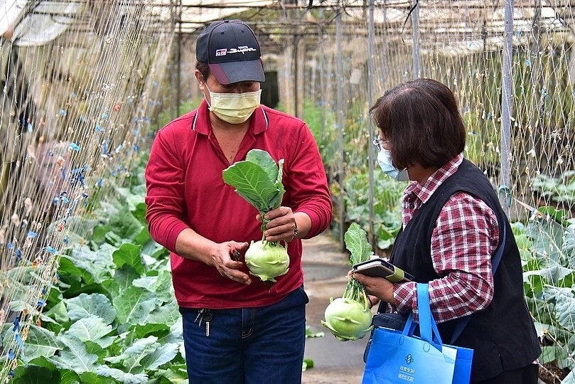 苗栗卓蘭【福德蔬果農園】採摘蔬果趣味體驗