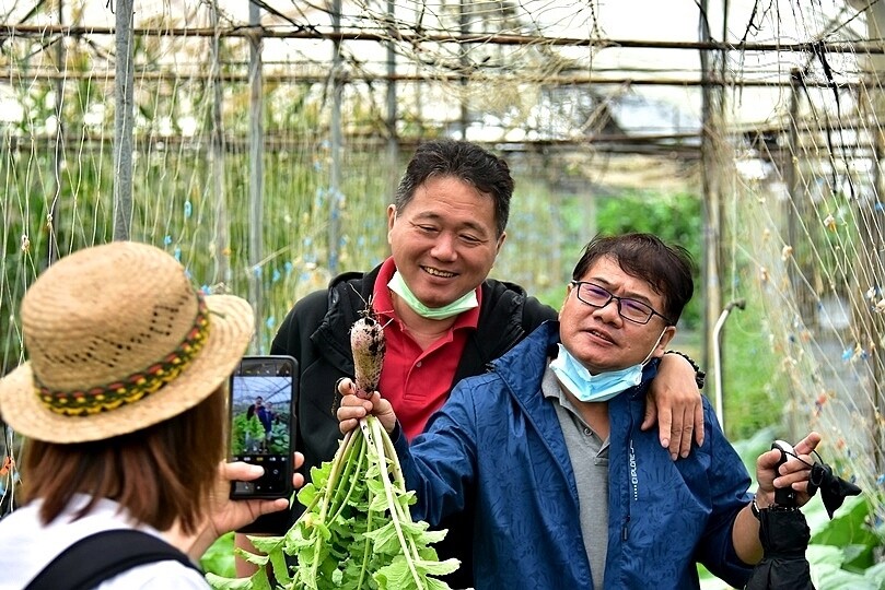 苗栗卓蘭【福德蔬果農園】採摘蔬果趣味體驗