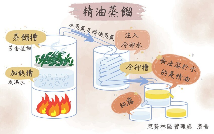 286817638_394677999348285_360092074956604529_n