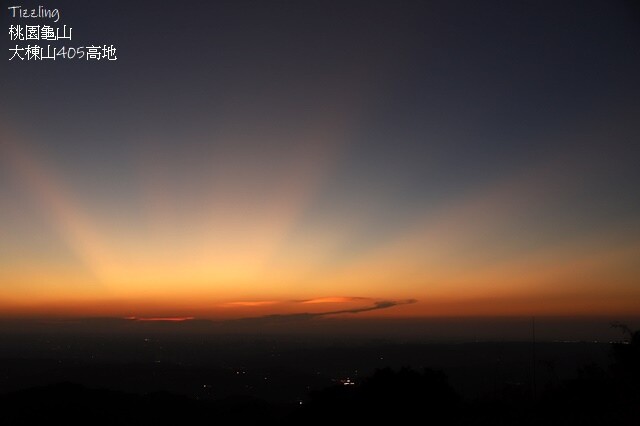 2023桃園龜山大棟山路美人樹、九重葛盛開10/01即時花況