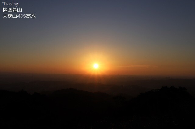2023桃園龜山大棟山路美人樹、九重葛盛開10/01即時花況