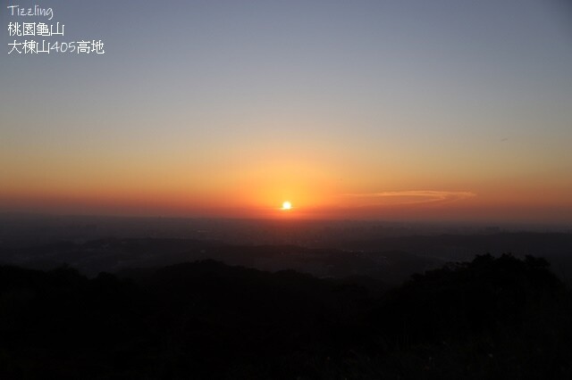 2023桃園龜山大棟山路美人樹、九重葛盛開10/01即時花況