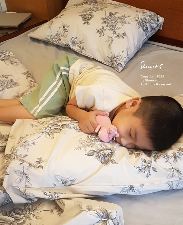 【生活家電】SHARP夏普 無孔槽變頻洗衣機潔淨抗菌、省水、 15.jpg