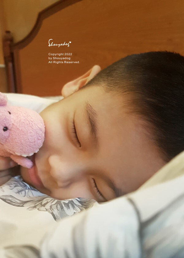 【生活家電】SHARP夏普 無孔槽變頻洗衣機潔淨抗菌、省水、 19.jpg