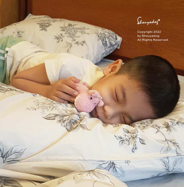 【生活家電】SHARP夏普 無孔槽變頻洗衣機潔淨抗菌、省水、 16.jpg