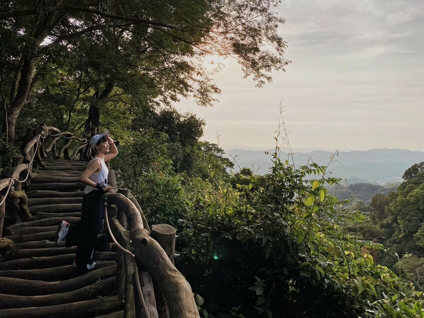 解鎖小百岳：大坑4號步道，相思圓木棧道串成山中遊樂場，最美最難也能輕鬆登頂！