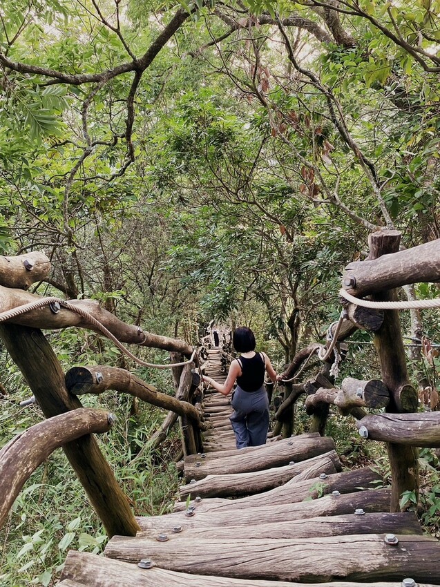 解鎖小百岳：大坑4號步道，相思圓木棧道串成山中遊樂場，最美最難也能輕鬆登頂！