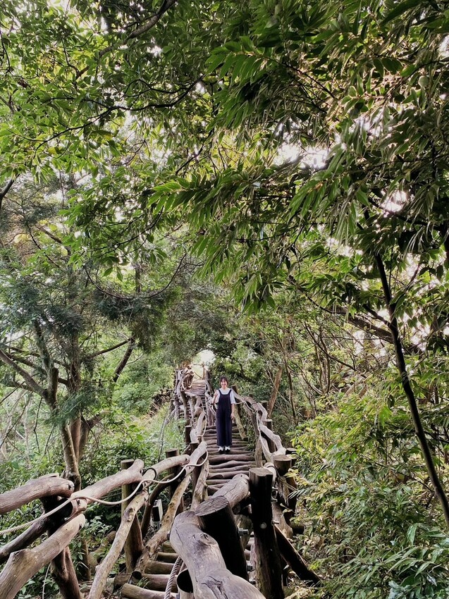 解鎖小百岳：大坑4號步道，相思圓木棧道串成山中遊樂場，最美最難也能輕鬆登頂！