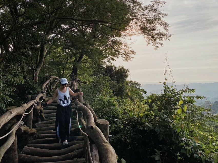解鎖小百岳：大坑4號步道，相思圓木棧道串成山中遊樂場，最美最難也能輕鬆登頂！