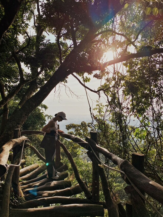解鎖小百岳：大坑4號步道，相思圓木棧道串成山中遊樂場，最美最難也能輕鬆登頂！