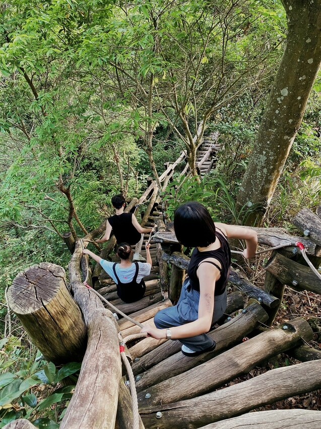 解鎖小百岳：大坑4號步道，相思圓木棧道串成山中遊樂場，最美最難也能輕鬆登頂！