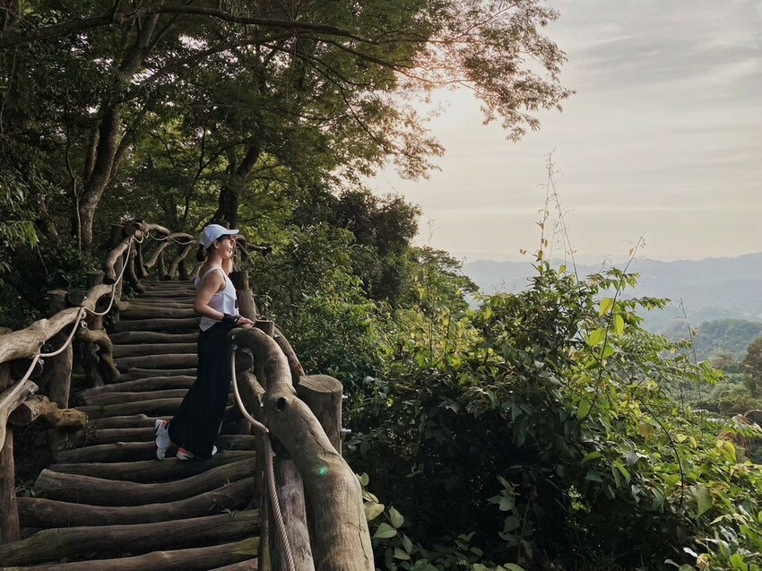 解鎖小百岳：大坑4號步道，相思圓木棧道串成山中遊樂場，最美最難也能輕鬆登頂！