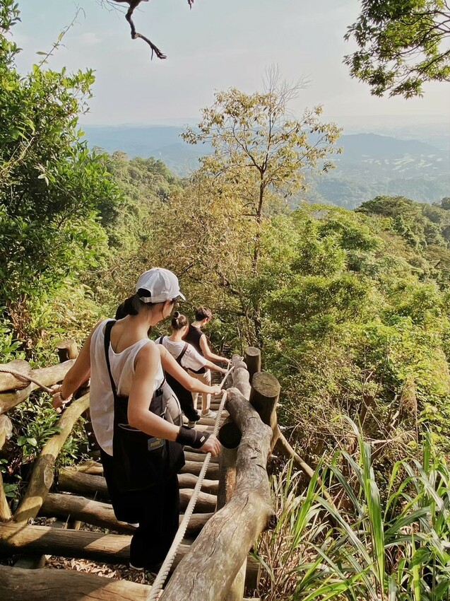 解鎖小百岳：大坑4號步道，相思圓木棧道串成山中遊樂場，最美最難也能輕鬆登頂！