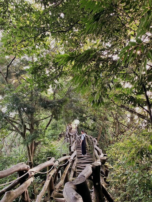 解鎖小百岳：大坑4號步道，相思圓木棧道串成山中遊樂場，最美最難也能輕鬆登頂！