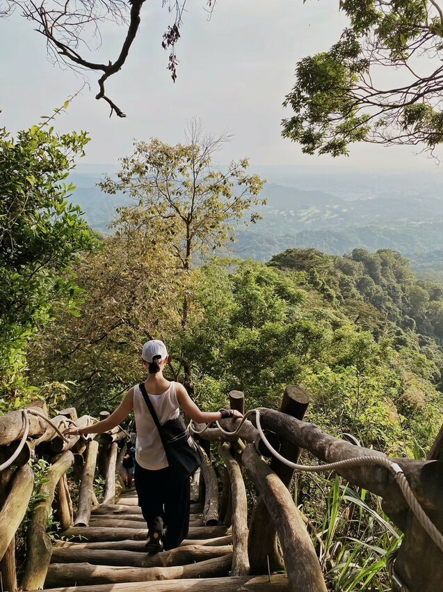 解鎖小百岳：大坑4號步道，相思圓木棧道串成山中遊樂場，最美最難也能輕鬆登頂！