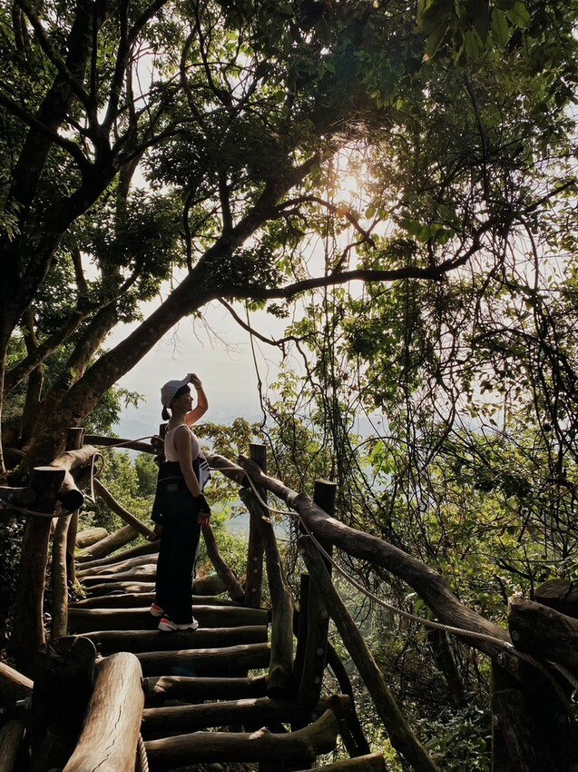 解鎖小百岳：大坑4號步道，相思圓木棧道串成山中遊樂場，最美最難也能輕鬆登頂！