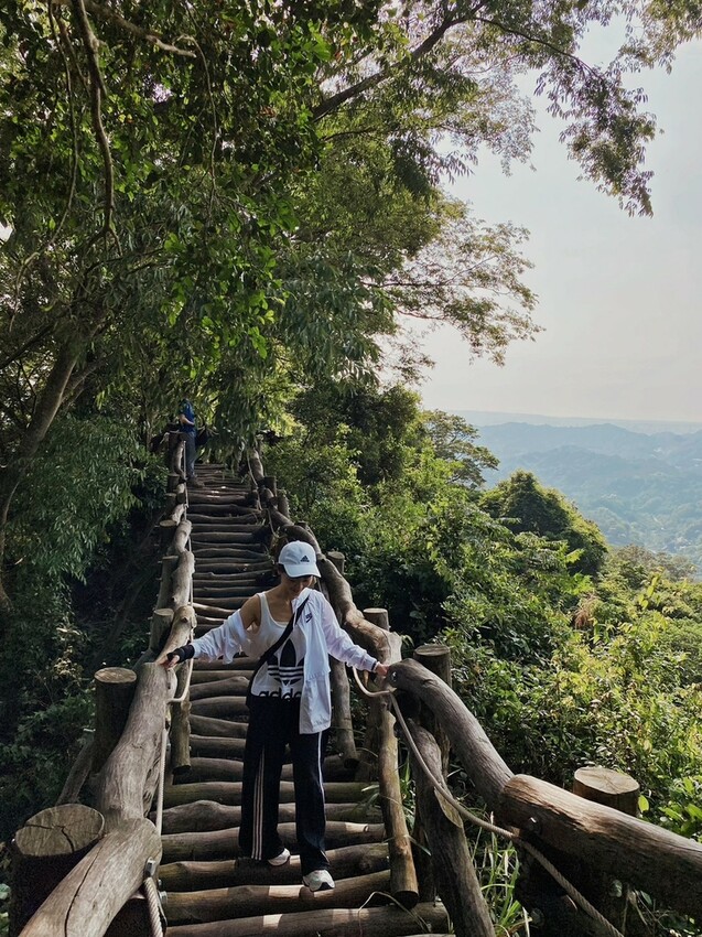 解鎖小百岳：大坑4號步道，相思圓木棧道串成山中遊樂場，最美最難也能輕鬆登頂！