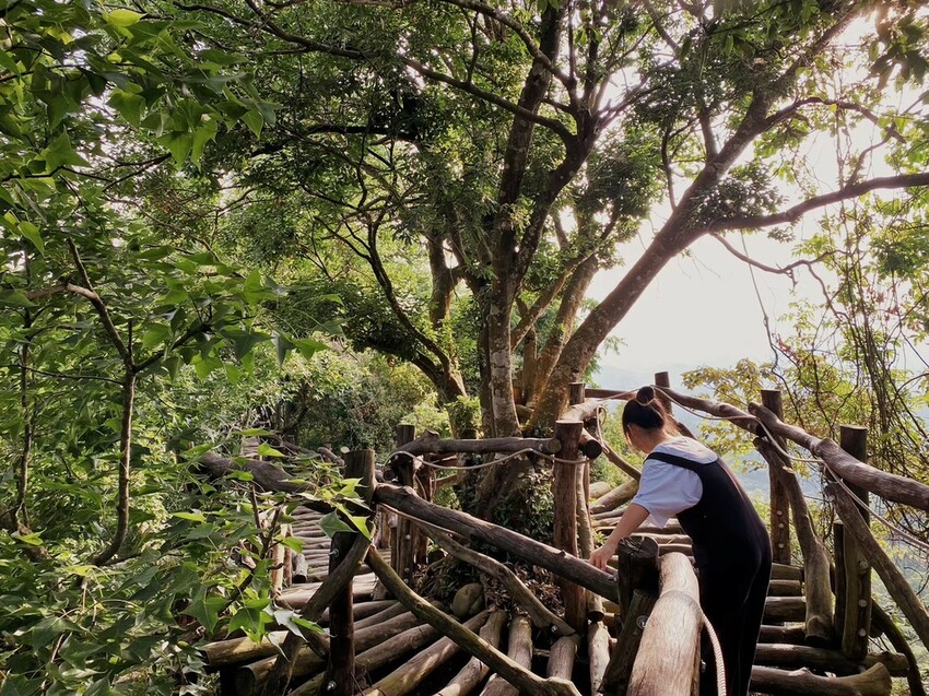 解鎖小百岳：大坑4號步道，相思圓木棧道串成山中遊樂場，最美最難也能輕鬆登頂！