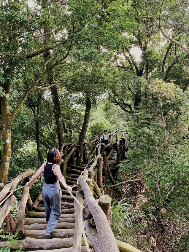 解鎖小百岳：大坑4號步道，相思圓木棧道串成山中遊樂場，最美最難也能輕鬆登頂！