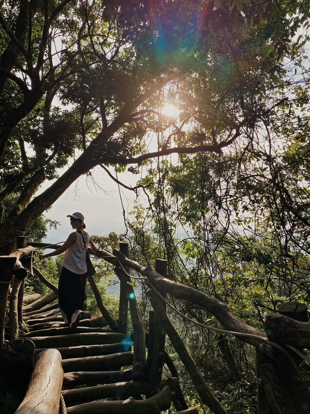 解鎖小百岳：大坑4號步道，相思圓木棧道串成山中遊樂場，最美最難也能輕鬆登頂！