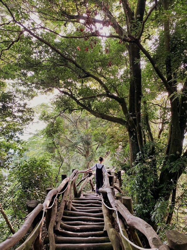 解鎖小百岳：大坑4號步道，相思圓木棧道串成山中遊樂場，最美最難也能輕鬆登頂！
