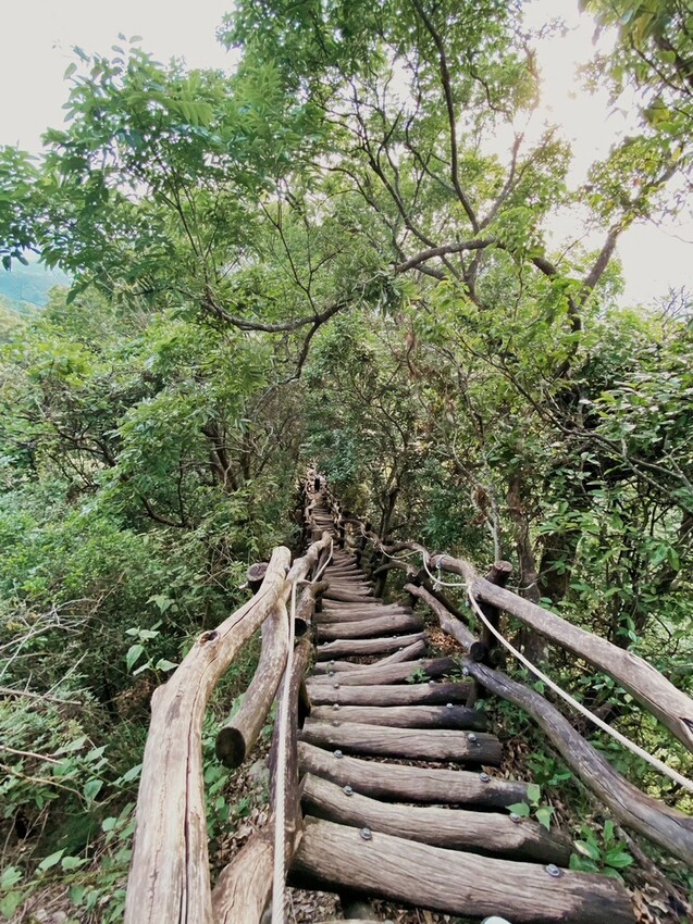 解鎖小百岳：大坑4號步道，相思圓木棧道串成山中遊樂場，最美最難也能輕鬆登頂！
