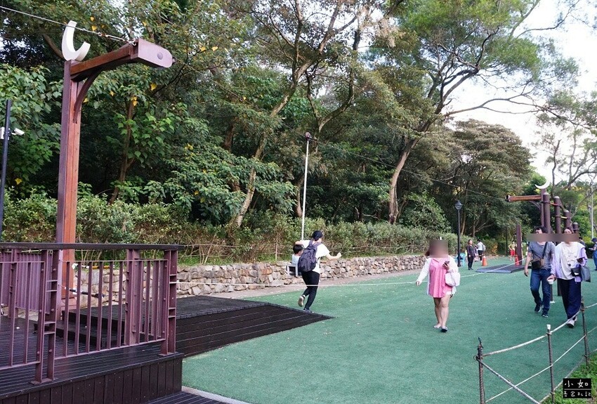 【桃園景點】大有梯田生態公園,觀景台上的綠油梯田美景,旁有小
