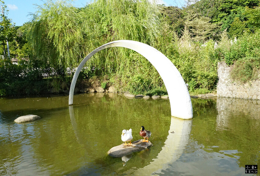 【桃園景點】大有梯田生態公園,觀景台上的綠油梯田美景,旁有小