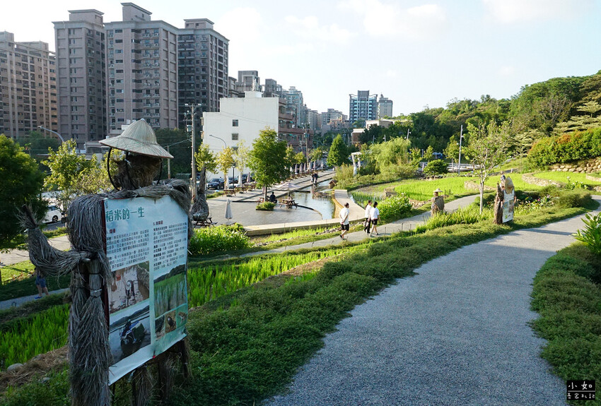 【桃園景點】大有梯田生態公園,觀景台上的綠油梯田美景,旁有小