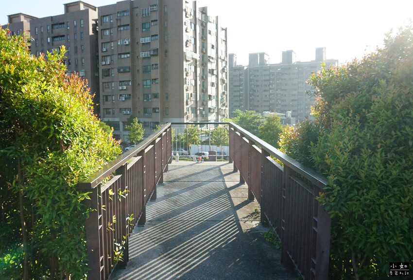【桃園景點】大有梯田生態公園,觀景台上的綠油梯田美景,旁有小