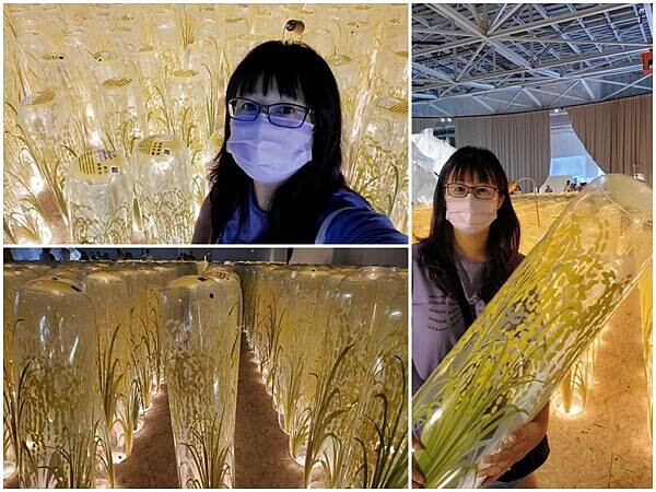 臺灣館-2023世界客家博覽會 (13).jpg 臺灣館-2023世界客家博覽會 (13).jpg