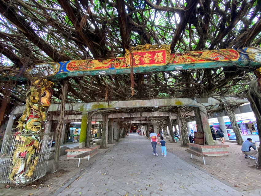 澎湖三天兩夜悠閒之旅，澎湖旅遊懶人包，入住澎湖福朋喜來登酒店，SAM 害轟的旅遊!!