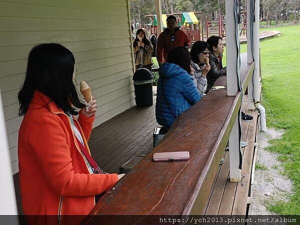 瑪格麗特河谷農場吃冰淇淋 瑪格麗特河谷農場吃冰淇淋