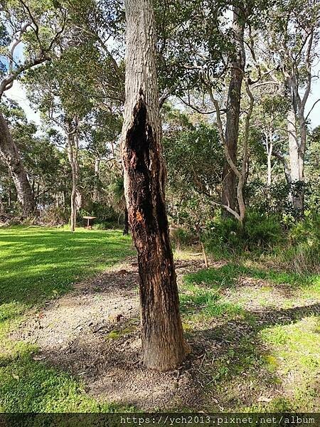 瑪格麗特河谷農場吃冰淇淋 瑪格麗特河谷農場吃冰淇淋
