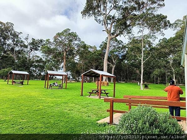 瑪格麗特河谷農場吃冰淇淋 瑪格麗特河谷農場吃冰淇淋