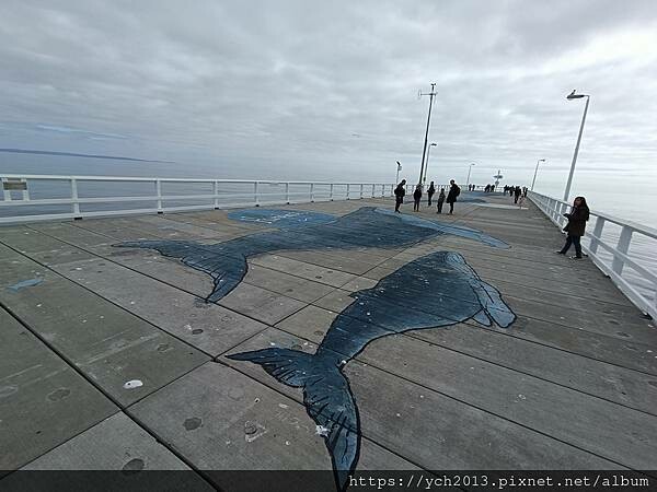 巴瑟爾頓長堤Busselton Jetty搭小火車出海 巴瑟爾頓長堤Busselton Jetty搭小火車出海