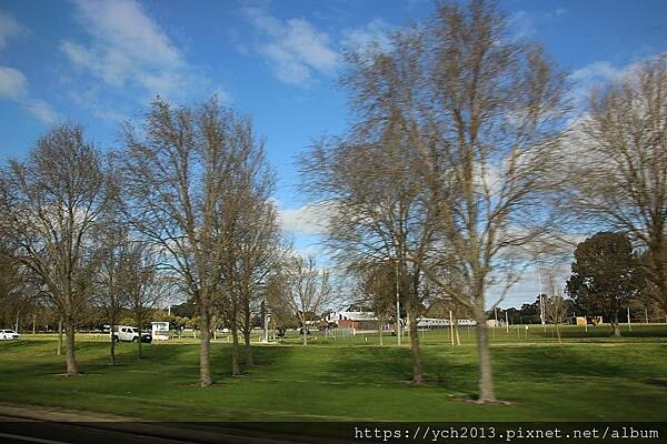 瑪格麗特河谷農場吃冰淇淋 瑪格麗特河谷農場吃冰淇淋