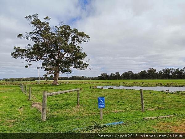 瑪格麗特河谷農場吃冰淇淋 瑪格麗特河谷農場吃冰淇淋