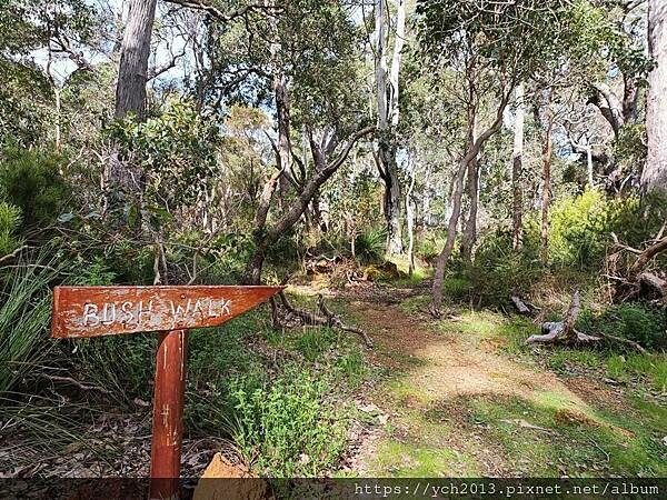 瑪格麗特河谷農場吃冰淇淋 瑪格麗特河谷農場吃冰淇淋