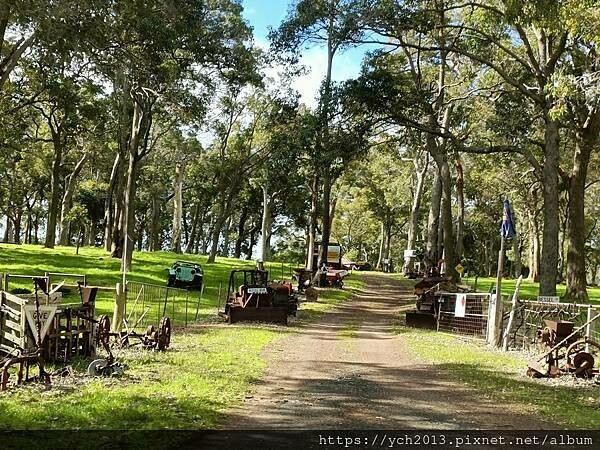 瑪格麗特河谷農場吃冰淇淋 瑪格麗特河谷農場吃冰淇淋