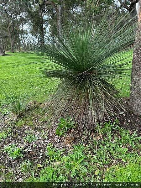 瑪格麗特河谷農場吃冰淇淋 瑪格麗特河谷農場吃冰淇淋