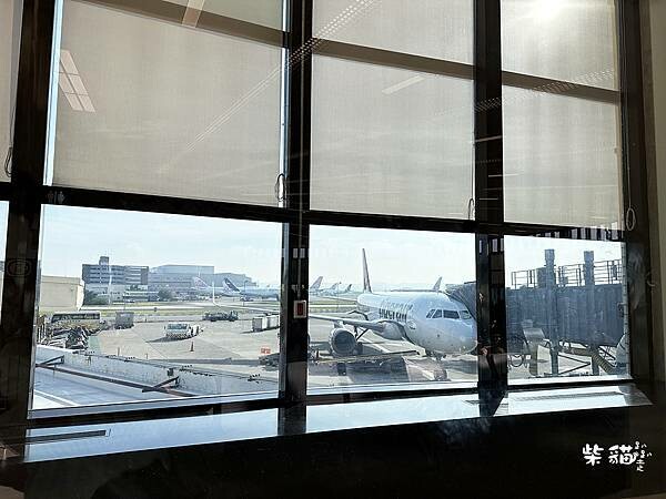 【名古屋】台灣虎航初體驗!飛到名古屋中部機場全記錄|柴貓趴趴