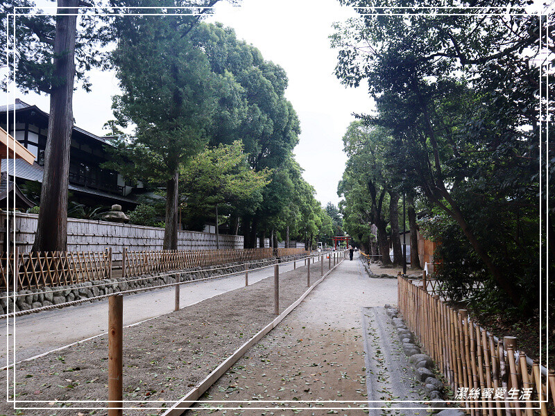 鶴岡八幡宮-日本鎌倉/東京近郊必訪古都歷史景點~東日本的信仰中心