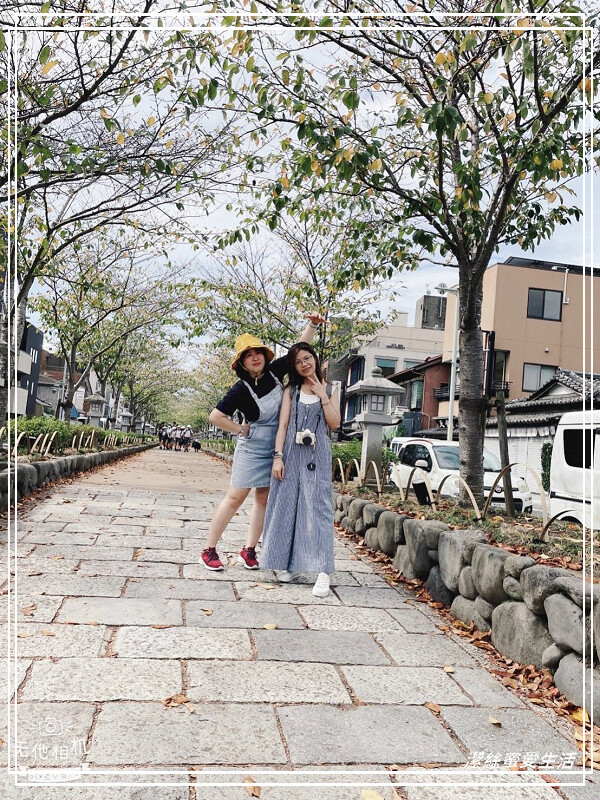 鶴岡八幡宮-日本鎌倉/東京近郊必訪古都歷史景點~東日本的信仰中心