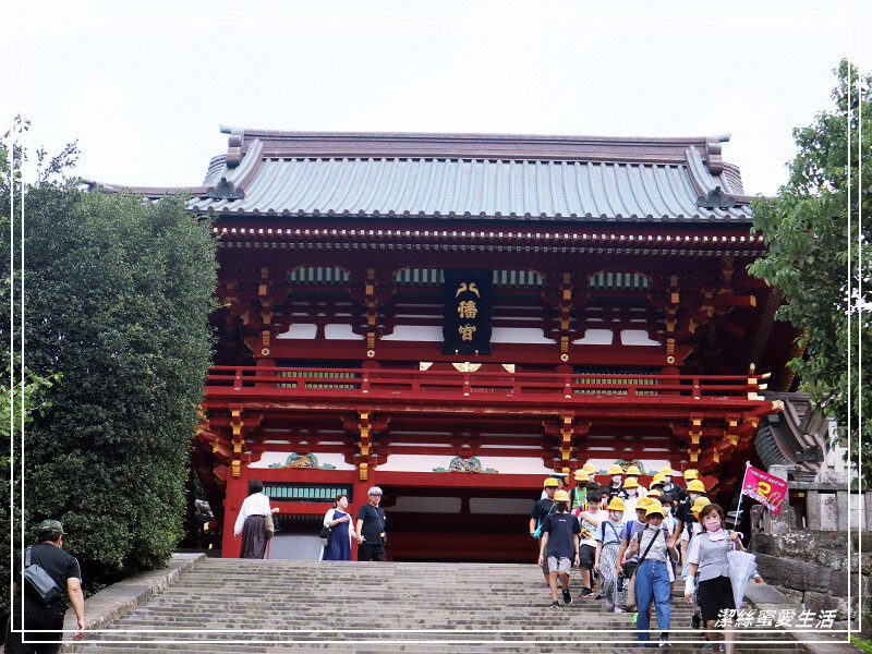 鶴岡八幡宮-日本鎌倉/東京近郊必訪古都歷史景點~東日本的信仰中心