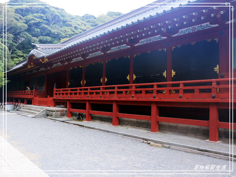 鶴岡八幡宮-日本鎌倉/東京近郊必訪古都歷史景點~東日本的信仰中心