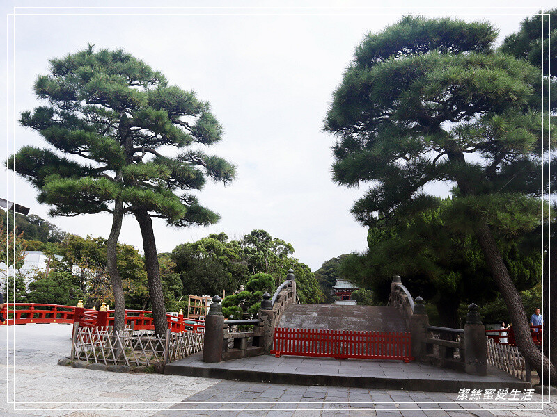 鶴岡八幡宮-日本鎌倉/東京近郊必訪古都歷史景點~東日本的信仰中心