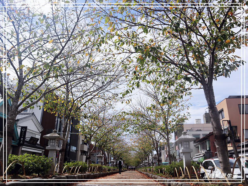 鶴岡八幡宮-日本鎌倉/東京近郊必訪古都歷史景點~東日本的信仰中心