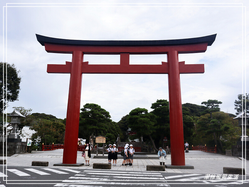 鶴岡八幡宮-日本鎌倉/東京近郊必訪古都歷史景點~東日本的信仰中心